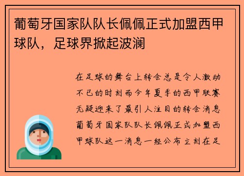 葡萄牙国家队队长佩佩正式加盟西甲球队，足球界掀起波澜