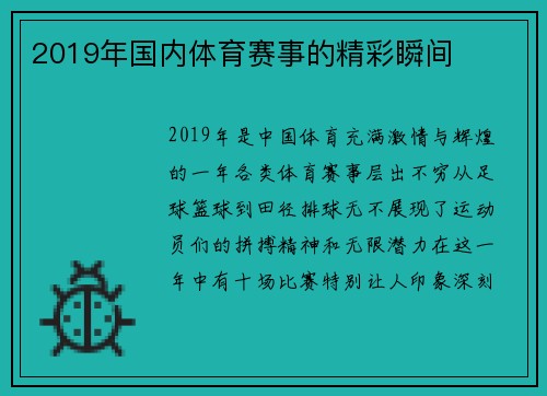 2019年国内体育赛事的精彩瞬间